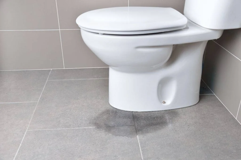 vazamento de vaso sanitario