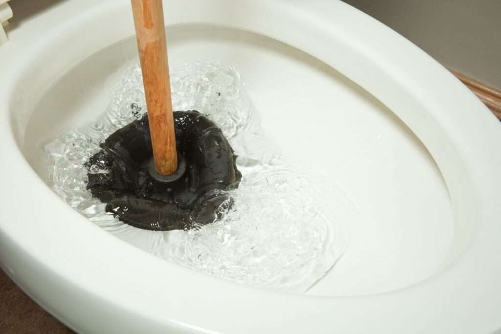 O que é bom para desentupir vaso sanitário entupido Design sem nome 26
